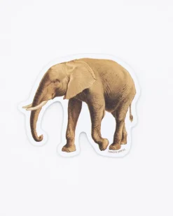Cognitive Surplus Elephant Sticker* Stickers | Biology