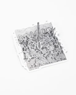 Cognitive Surplus Epidermis Sticker* Stickers | Medicine