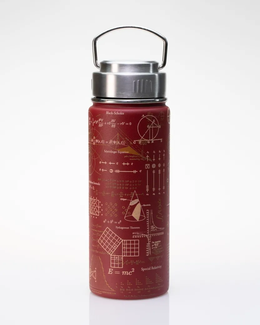 Cognitive Surplus Equations that Changed the World Travel Mug | * Travel Mugs | Water Bottles