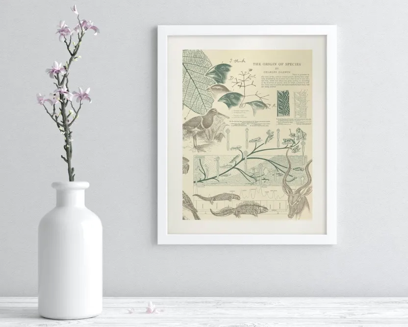 Cognitive Surplus Evolution Museum Print | Biology Gift* Wall Art | Ornithology