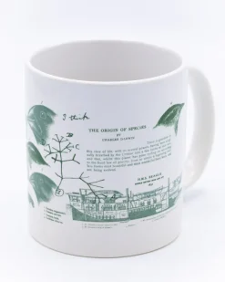 Cognitive Surplus Evolution Science Mug 20 oz | Biology Gifts* Mugs | Ornithology