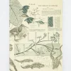Cognitive Surplus Evolution Softcover Notebook | Charles Darwin* The Experiment | Ornithology