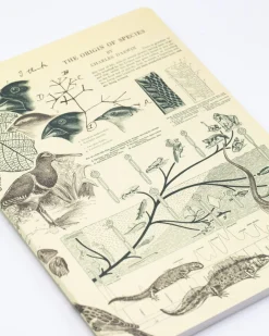 Cognitive Surplus Evolution Softcover Notebook | Charles Darwin* The Experiment | Ornithology