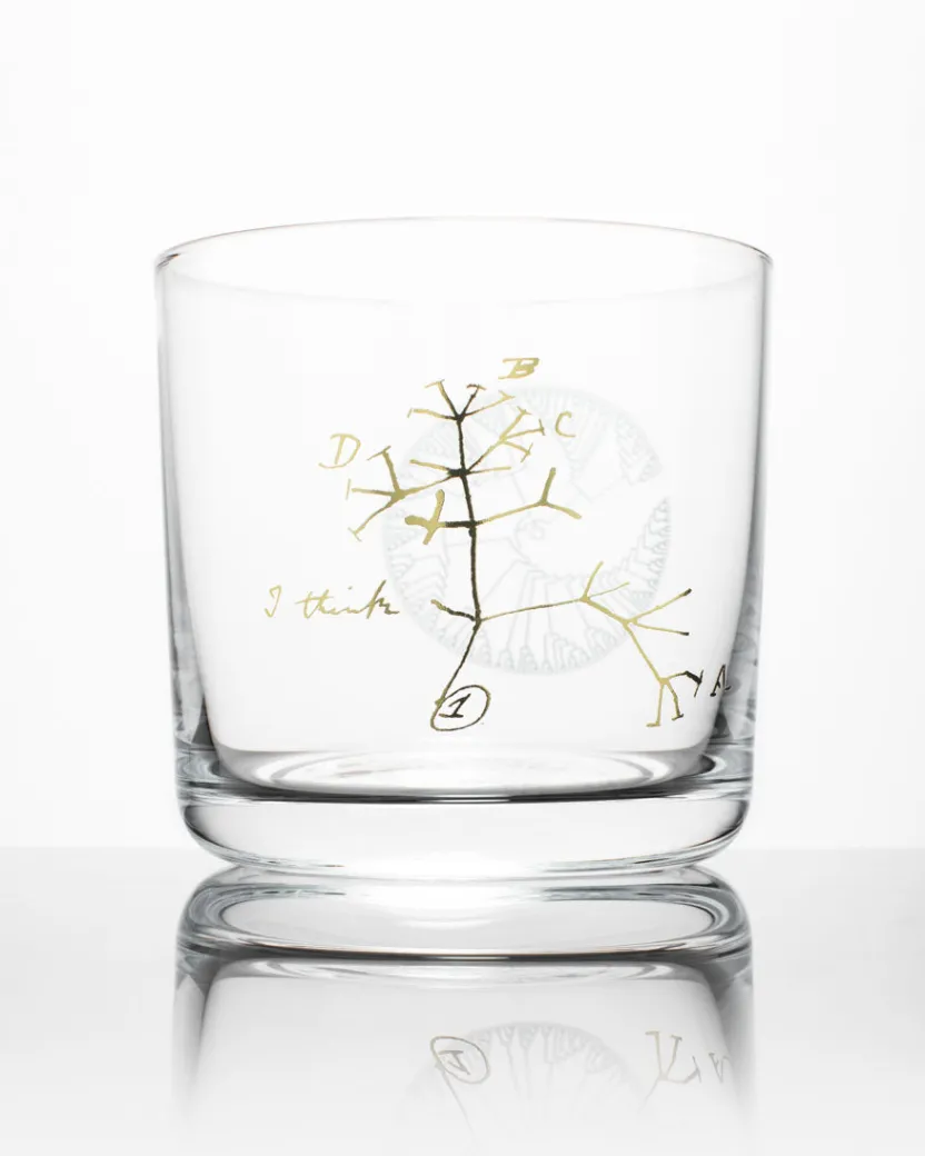 Cognitive Surplus Evolution Tree of Life Whiskey Glass - Scotch Glass | * Rocks Glasses | Biology
