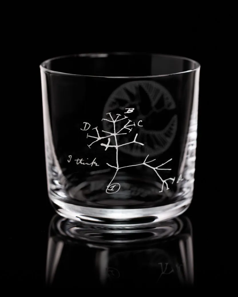 Cognitive Surplus Evolution Tree of Life Whiskey Glass - Scotch Glass | * Rocks Glasses | Biology