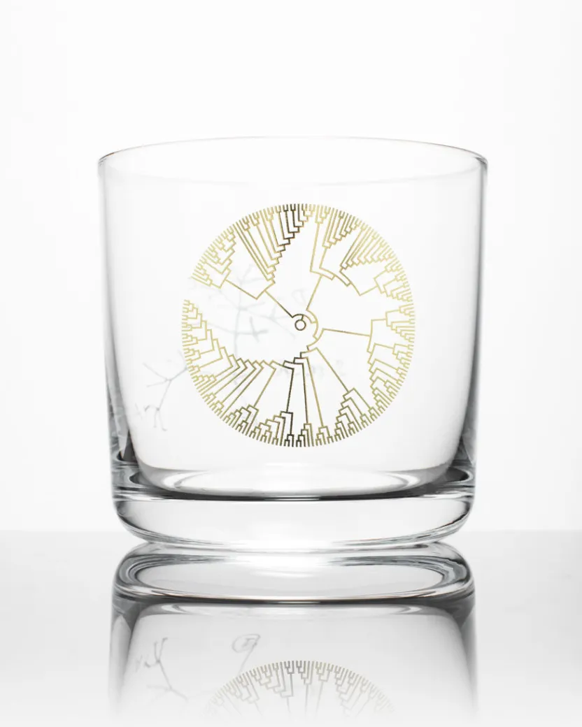 Cognitive Surplus Evolution Tree of Life Whiskey Glass - Scotch Glass | * Rocks Glasses | Biology