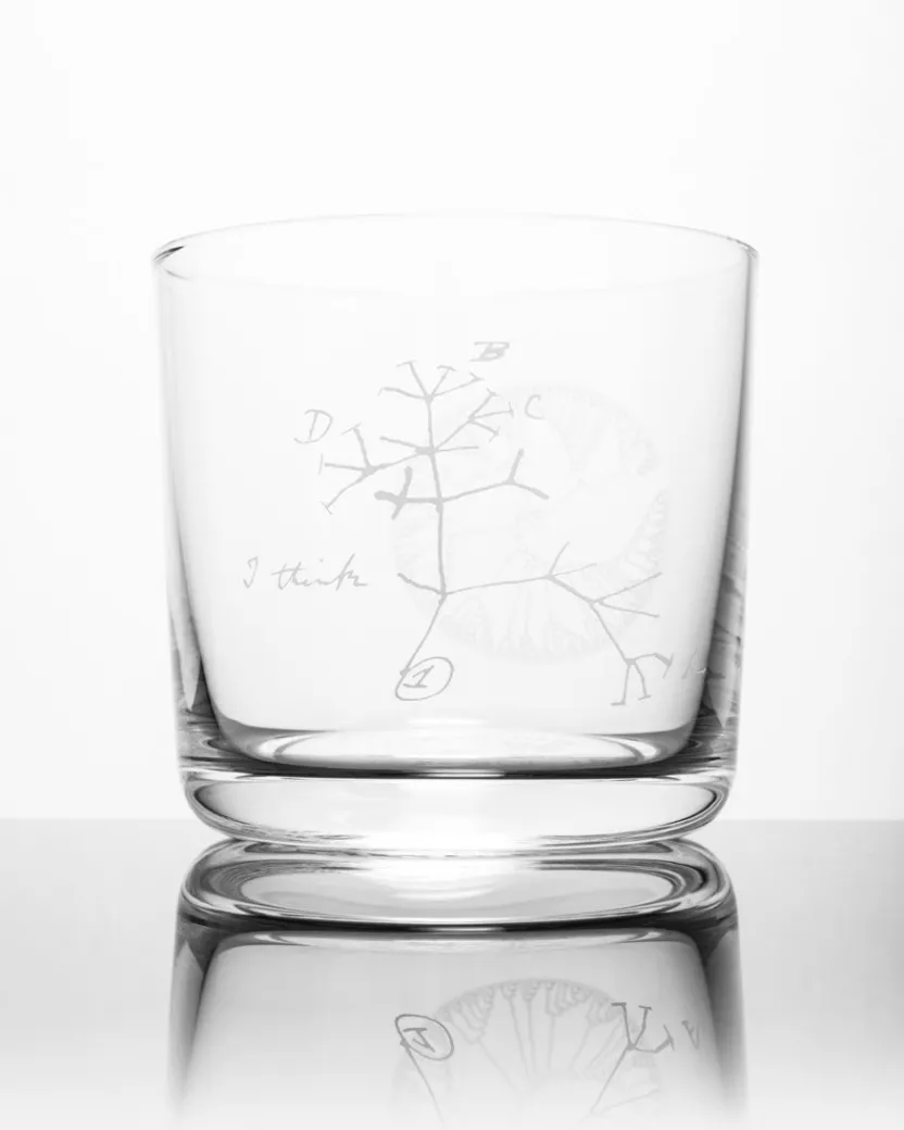 Cognitive Surplus Evolution Tree of Life Whiskey Glass - Scotch Glass | * Rocks Glasses | Biology