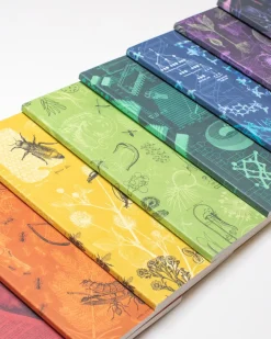 Cognitive Surplus Experiment Mystery Notebook 6-pack* Multi-Pack Collections | The Experiment
