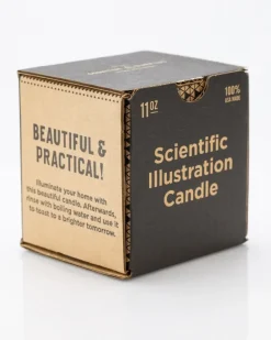 Cognitive Surplus Feather Cocktail Candle* Candles | Biology