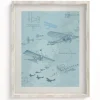 Cognitive Surplus Flight Science Museum Print | Aviation Art* Wall Art | Physics