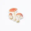 Cognitive Surplus Fly Agaric Poisonous Mushrooms Sticker* Stickers | Botany