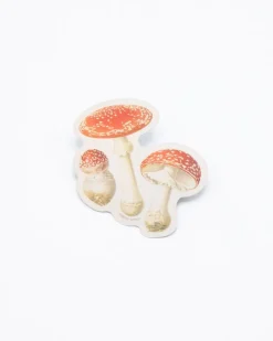 Cognitive Surplus Fly Agaric Poisonous Mushrooms Sticker* Stickers | Botany