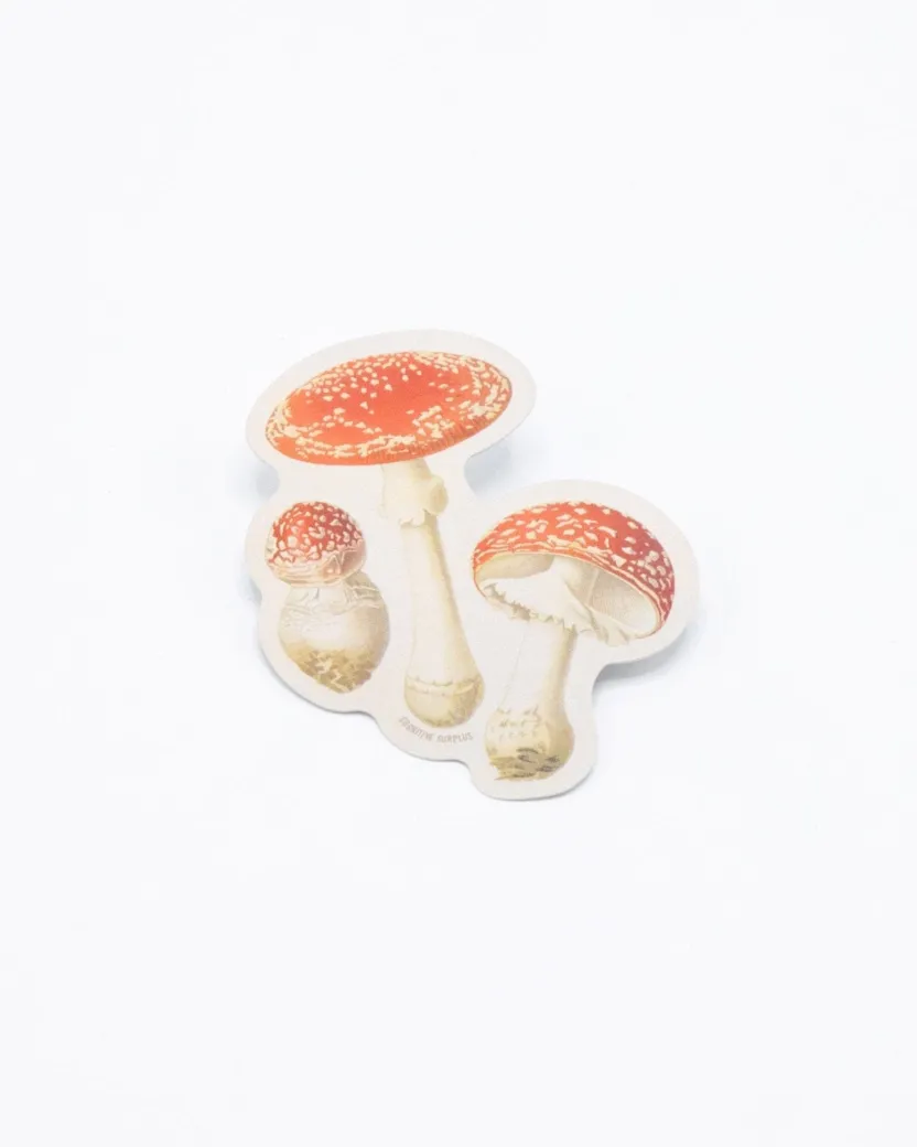 Cognitive Surplus Fly Agaric Poisonous Mushrooms Sticker* Stickers | Botany