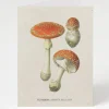 Cognitive Surplus Fly Agaric Poisonous Mushroom Card | * Greeting Cards | Botany