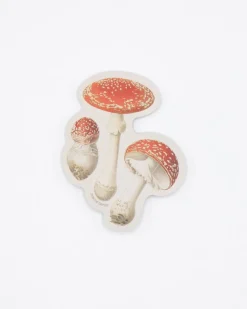Cognitive Surplus Fly Agaric Poisonous Mushrooms Sticker* Stickers | Botany