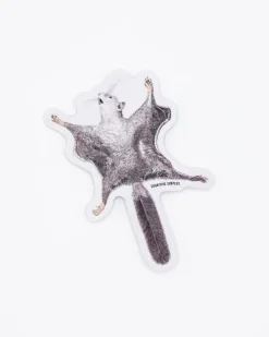 Cognitive Surplus Flying Squirrel Sticker* Stickers | Biology