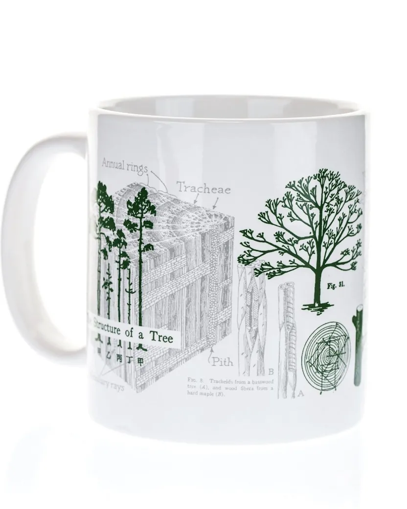 Cognitive Surplus Forest & Trees Mug 20 oz | Botanical Print Science Mug* Mugs | Biology