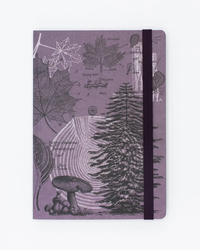 Cognitive Surplus Forest at Dusk A5 Notebook - Dendrology - Dotted Lines | Cogntiive Surplus* The Analysis | Botany