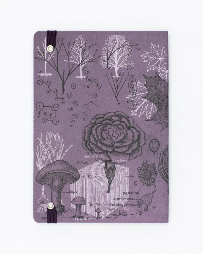 Cognitive Surplus Forest at Dusk A5 Notebook - Dendrology - Dotted Lines | Cogntiive Surplus* The Analysis | Botany