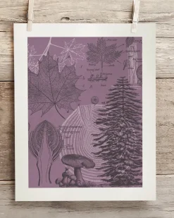 Cognitive Surplus Forest at Dusk Museum Print | Biology Art* Wall Art | Botany