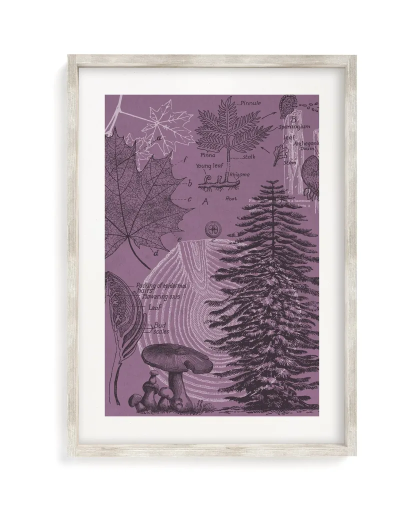 Cognitive Surplus Forest at Dusk Museum Print | Biology Art* Wall Art | Botany