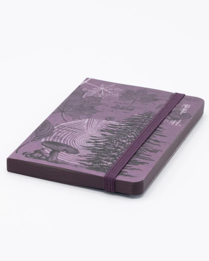 Cognitive Surplus Forest at Dusk Observation Softcover* The Observation | Botany