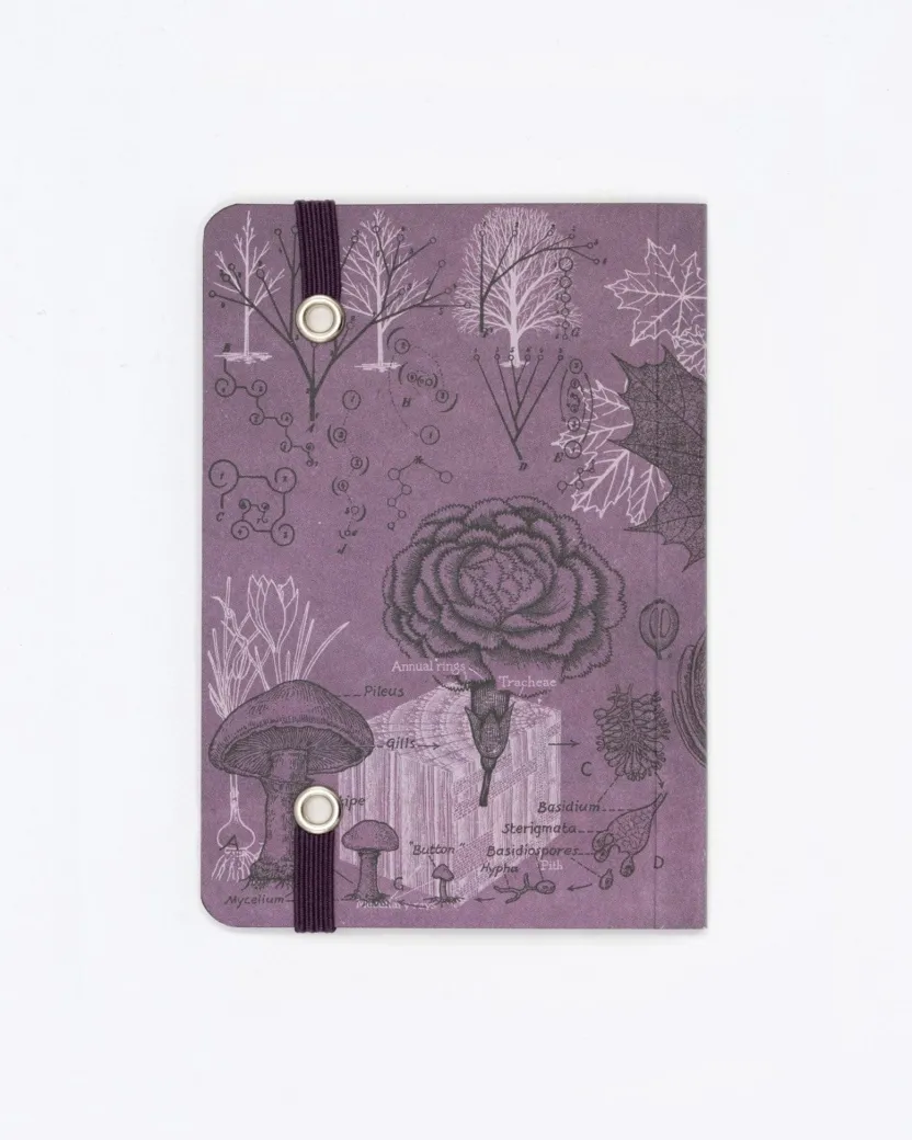 Cognitive Surplus Forest at Dusk Observation Softcover* The Observation | Botany