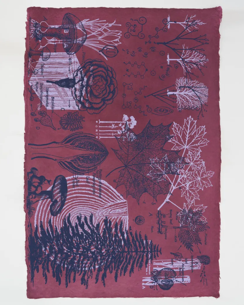 Cognitive Surplus Forest at Dusk Wrapping Paper* Wrapping Paper | Botany