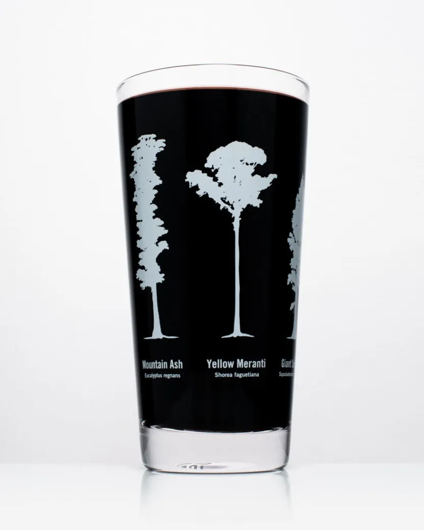 Cognitive Surplus Forest Giants Beer Glass | * Beer Glasses | Botany