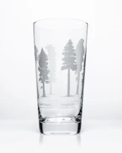 Cognitive Surplus Forest Giants Beer Glass | * Beer Glasses | Botany