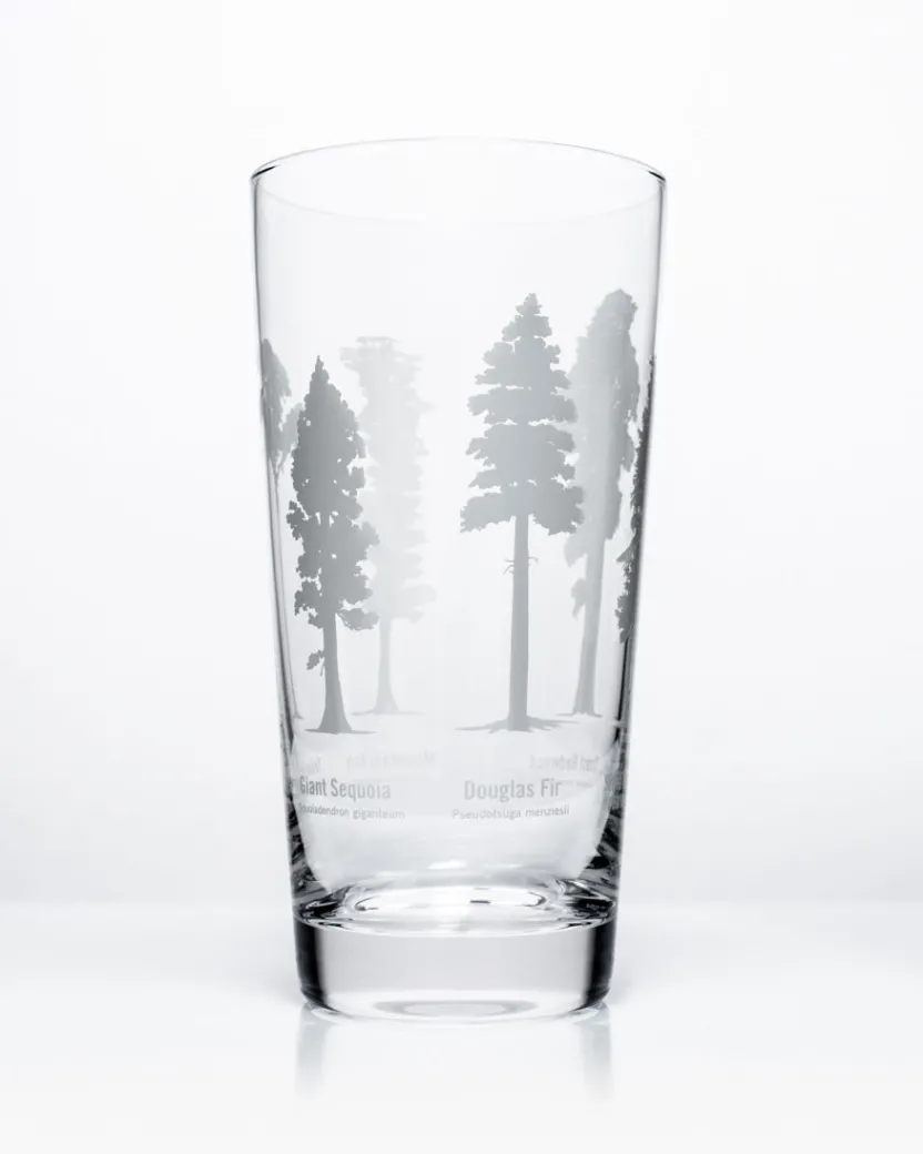 Cognitive Surplus Forest Giants Beer Glass | * Beer Glasses | Botany