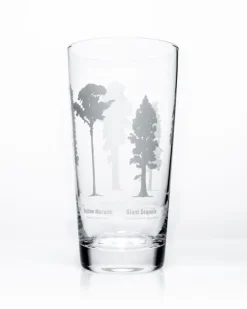 Cognitive Surplus Forest Giants Beer Glass | * Beer Glasses | Botany