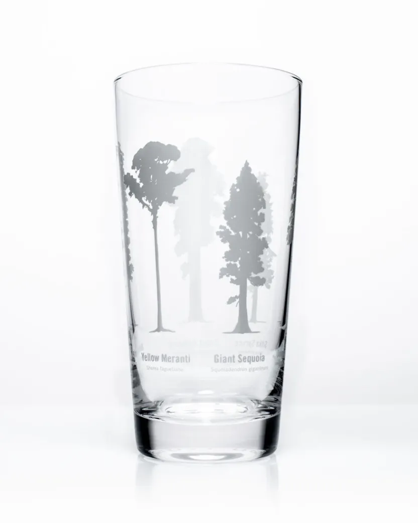 Cognitive Surplus Forest Giants Beer Glass | * Beer Glasses | Botany