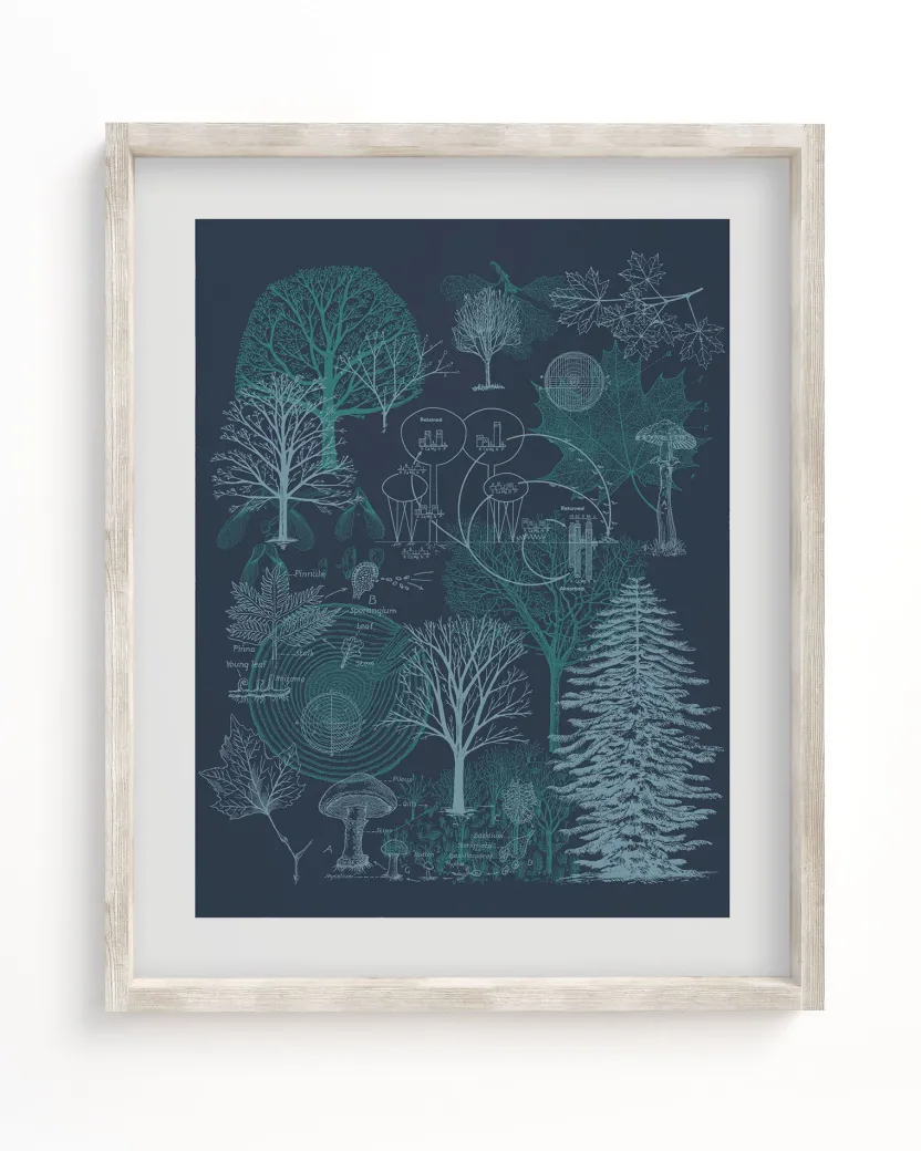 Cognitive Surplus Forest Museum Print | Biology Art* Wall Art | Botany