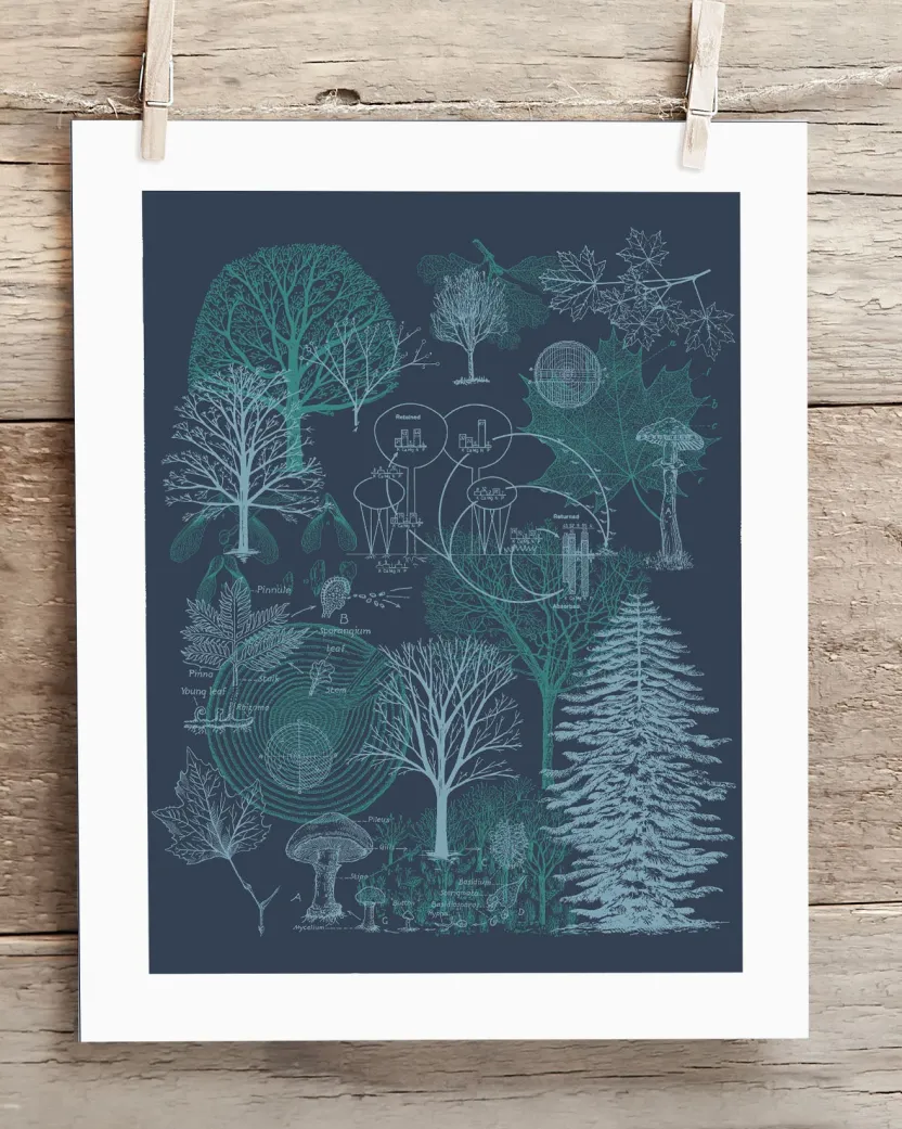 Cognitive Surplus Forest Museum Print | Biology Art* Wall Art | Botany