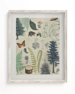 Cognitive Surplus Forest Plate 2 Museum Print | Botany Print* Wall Art | Botany