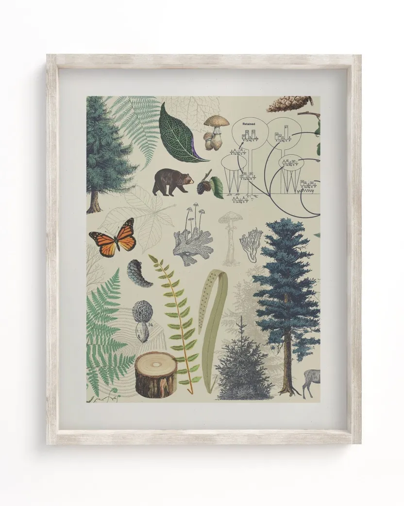 Cognitive Surplus Forest Plate 2 Museum Print | Botany Print* Wall Art | Botany