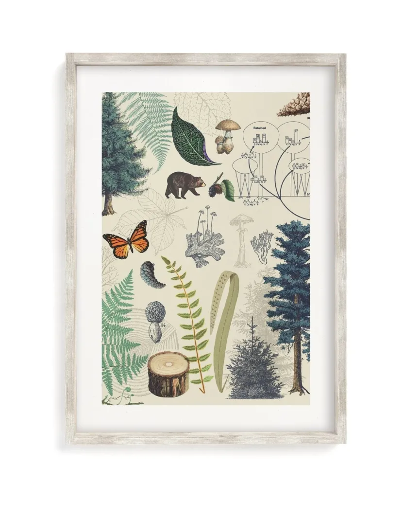 Cognitive Surplus Forest Plate 2 Museum Print | Botany Print* Wall Art | Botany