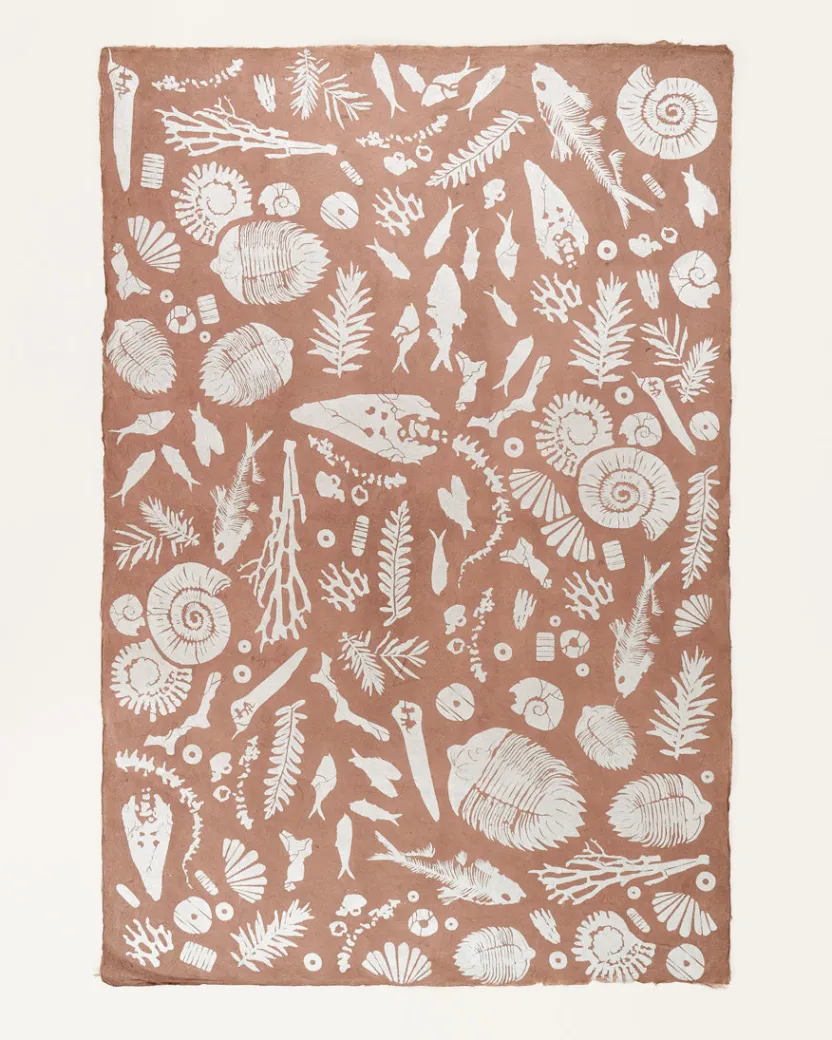 Cognitive Surplus Fossils Wrapping Paper* Wrapping Paper | Paleontology