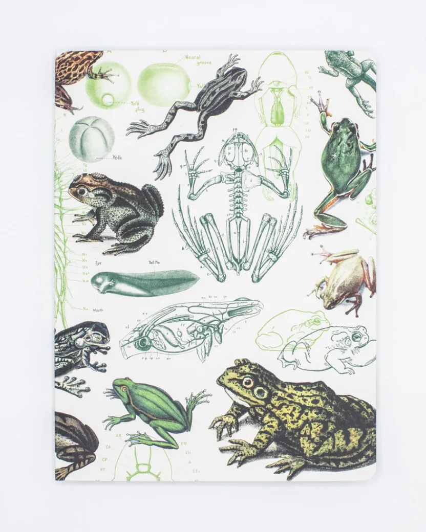 Cognitive Surplus Frogs & Toads Softcover Notebook - Lined* The Experiment | Marine Biology