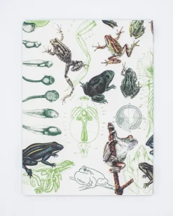 Cognitive Surplus Frogs & Toads Softcover Notebook - Lined* The Experiment | Marine Biology