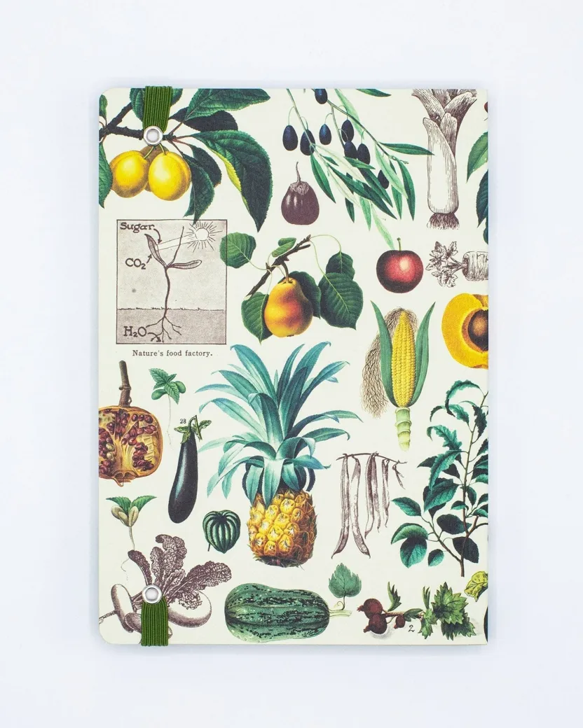 Cognitive Surplus Fruit & Vegetables A5 Notebook - Garden Journal | * The Analysis | Kitchen Science