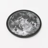 Cognitive Surplus Full Moon Magnet* Magnets | Astronomy