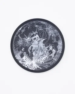 Cognitive Surplus Full Moon Sticker* Stickers | Astronomy