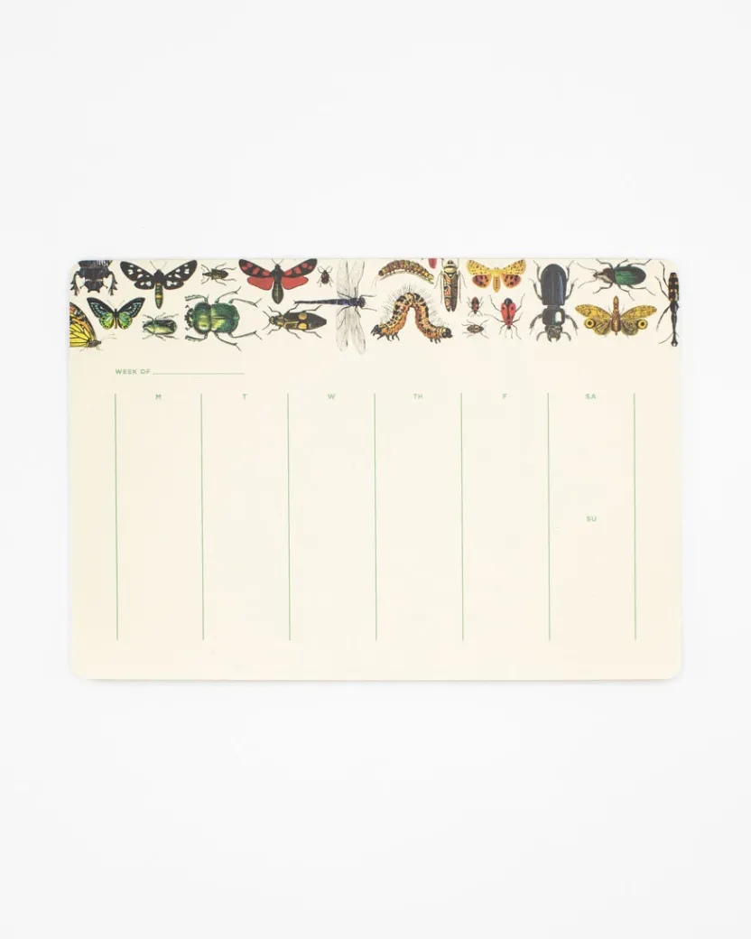 Cognitive Surplus Garden Friends Notepads - Entomology Market Pad | * Notepads | Entomology