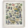 Cognitive Surplus Gems & Minerals Museum Print | Geology Gift* Wall Art | Geology + Earth Science
