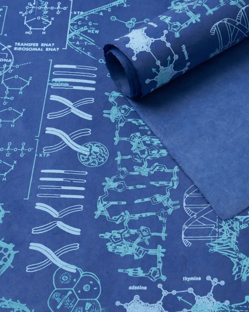Cognitive Surplus Genetics & DNA Wrapping Paper* Wrapping Paper | Microbiology