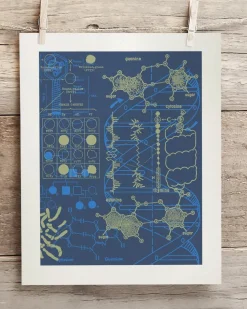 Cognitive Surplus Genetics: DNA Museum Print | Pharmacist Gift* Wall Art | Microbiology