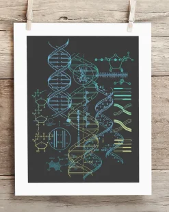 Cognitive Surplus Genetics: DNA Museum Print | Pharmacist Gift* Wall Art | Microbiology