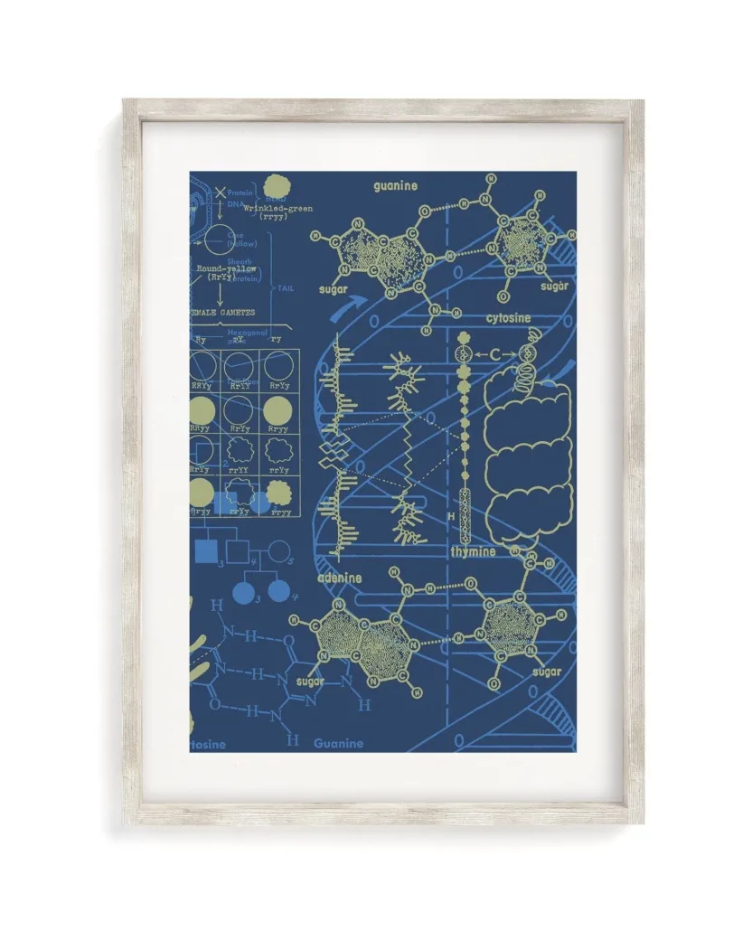Cognitive Surplus Genetics: DNA Museum Print | Pharmacist Gift* Wall Art | Microbiology